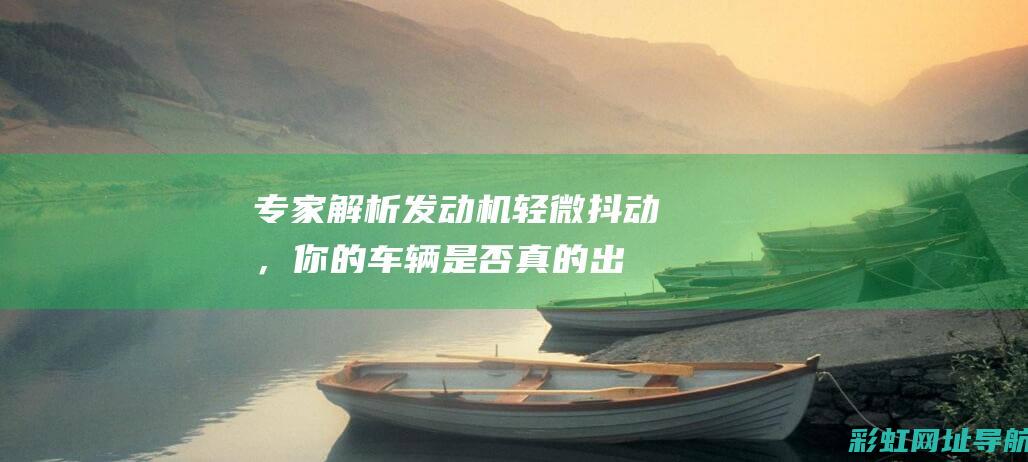 专家解析：发动机轻微抖动，你的车辆是否真的出了问题？