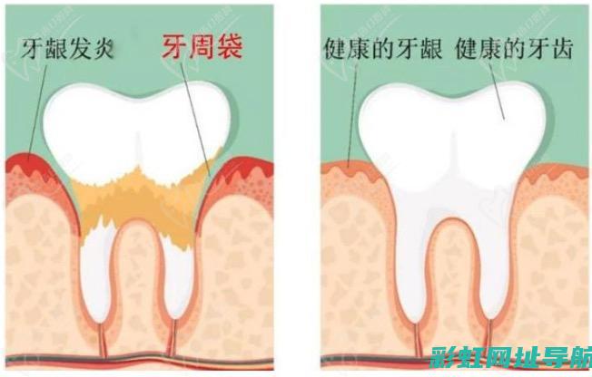 深度探究保时捷V6发动机：特点、优势及应用 (深度探究保时捷车型)