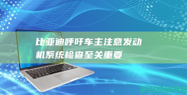 比亚迪呼吁车主注意：发动机系统检查至关重要 (比亚迪回应)