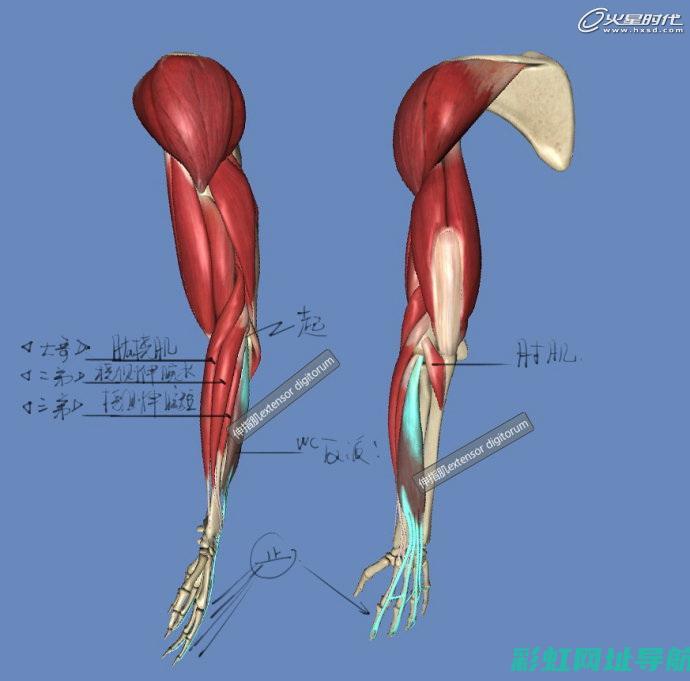 全面解析：如何正确清洗汽车发动机 (全面解析是什么意思)