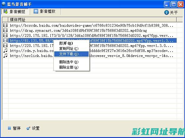 深入了解蓝鸟发动机：工作原理与日常维护指南 (深入了解蓝鸟的故事)