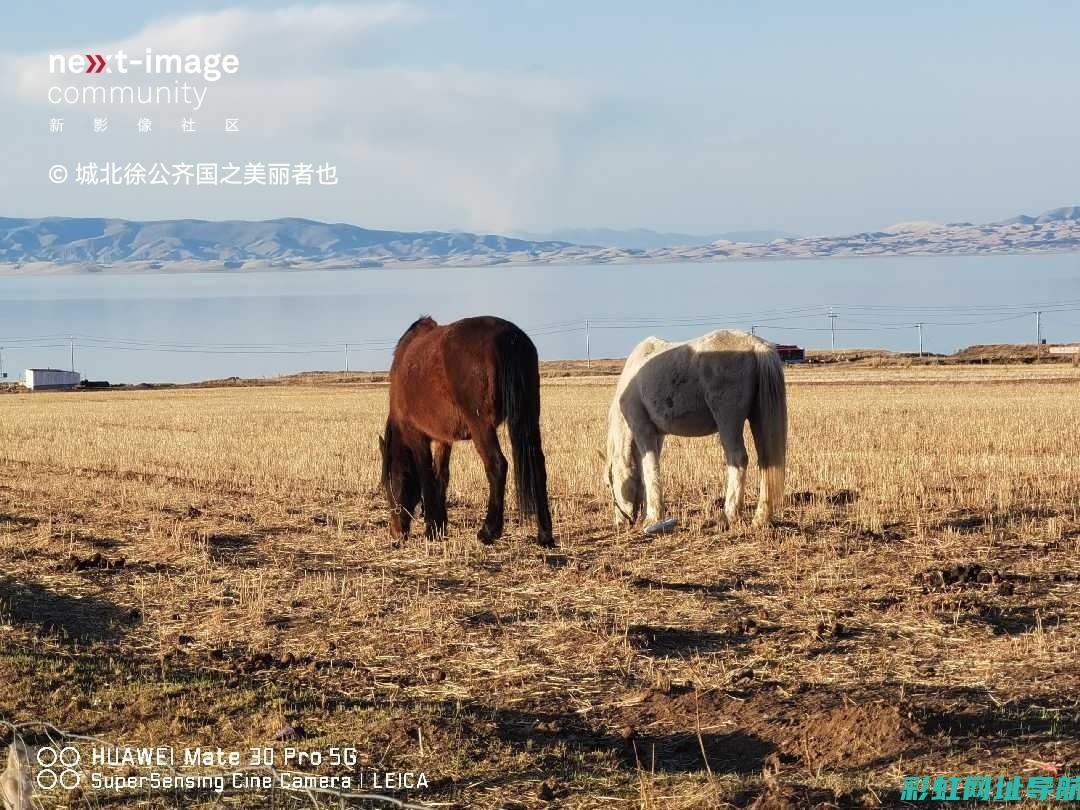 长安欧诺发动机性能解析与特点介绍 (长安欧诺发动机号在什么位置)