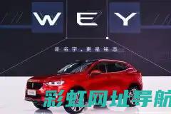 WEY发动机性能卓越，引领汽车动力新潮流 (wey发动机亮黄灯)