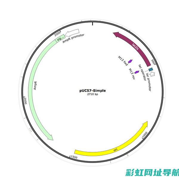 揭秘G6BA发动机：性能与特点全面解析 (揭秘狂飙兄弟事件车辆鉴定公司)