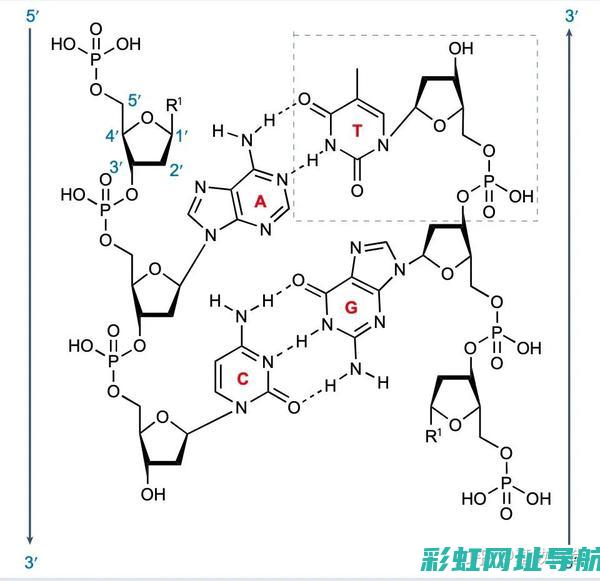 深度解析：不同种类发动机性能对比，探寻最佳发动机型号 (深度解析不限价地块)