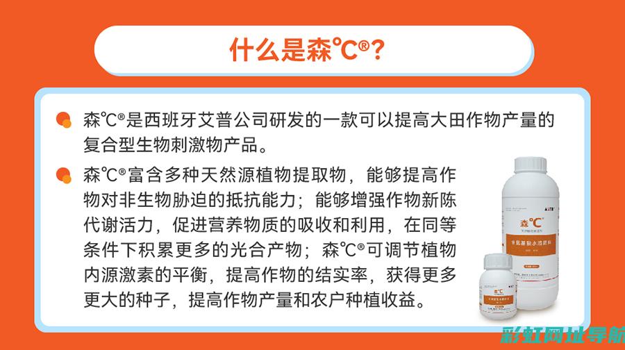 深入解析：森林人发动机噪音大背后的秘密 (森diy)