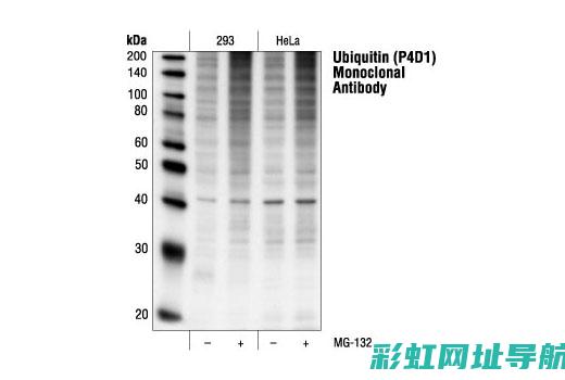 揭秘4da1发动机：深入了解其技术特点与应用领域 (揭秘狂飙兄弟事件车辆鉴定公司)