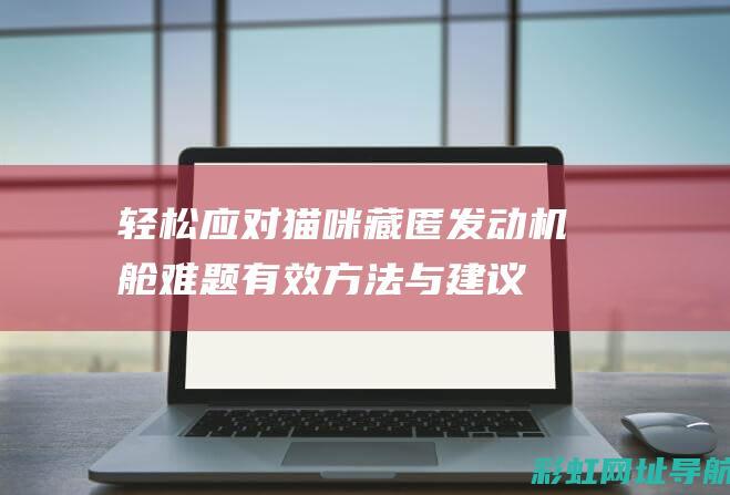 轻松应对猫咪藏匿发动机舱难题：有效方法与建议 (轻松应对猫咪的句子)