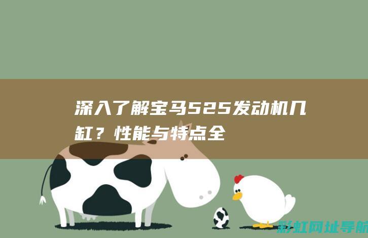 深入了解宝马525：发动机几缸？性能与特点全面解析 (宝马的了解)