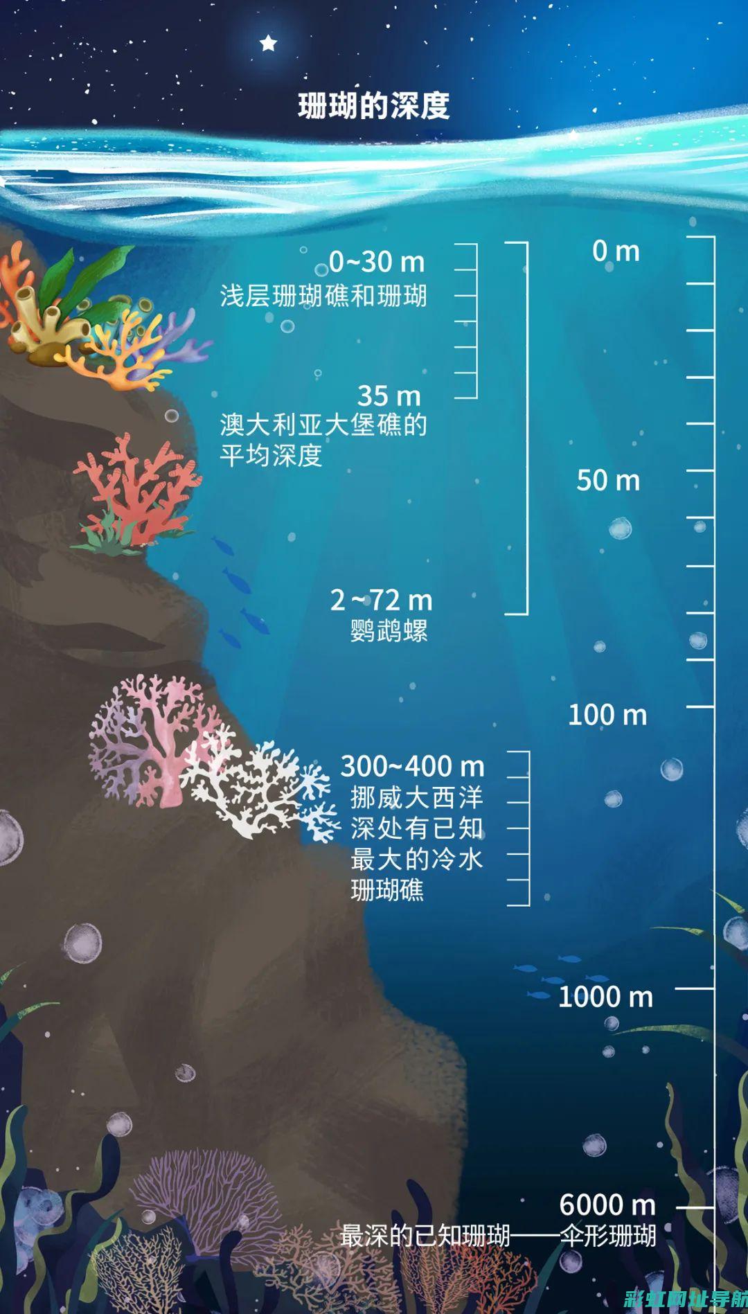 深度解析avs发动机：原理、应用及市场影响 (深度解析奥特曼)