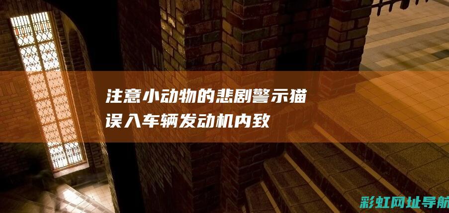 注意！小动物的悲剧警示：猫误入车辆发动机内致死事件 (注意小动物的对话,写出怪物的样子)