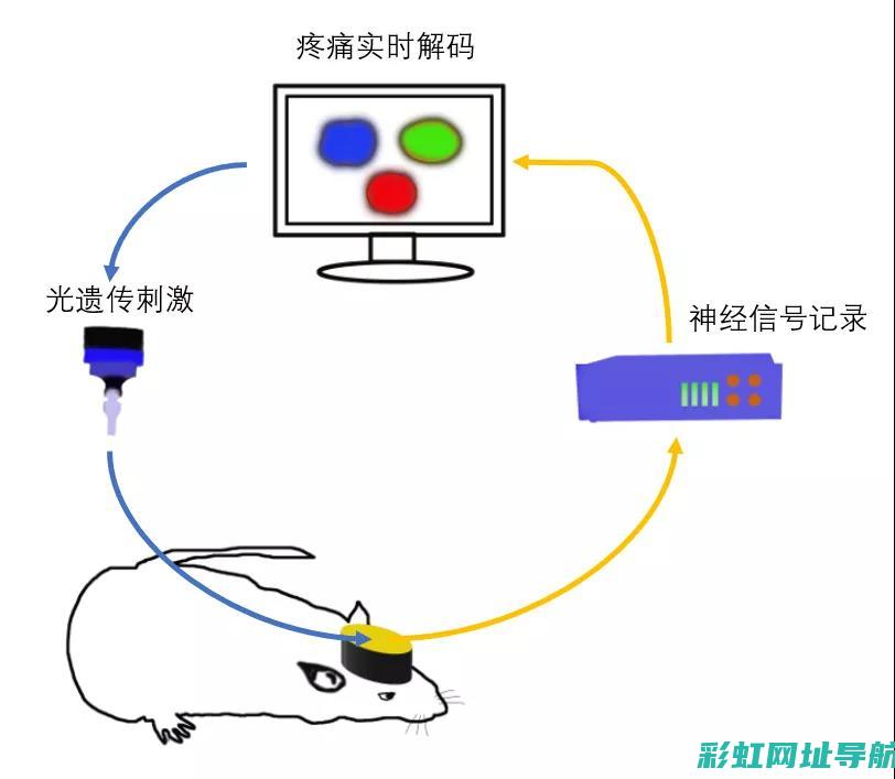 解读及