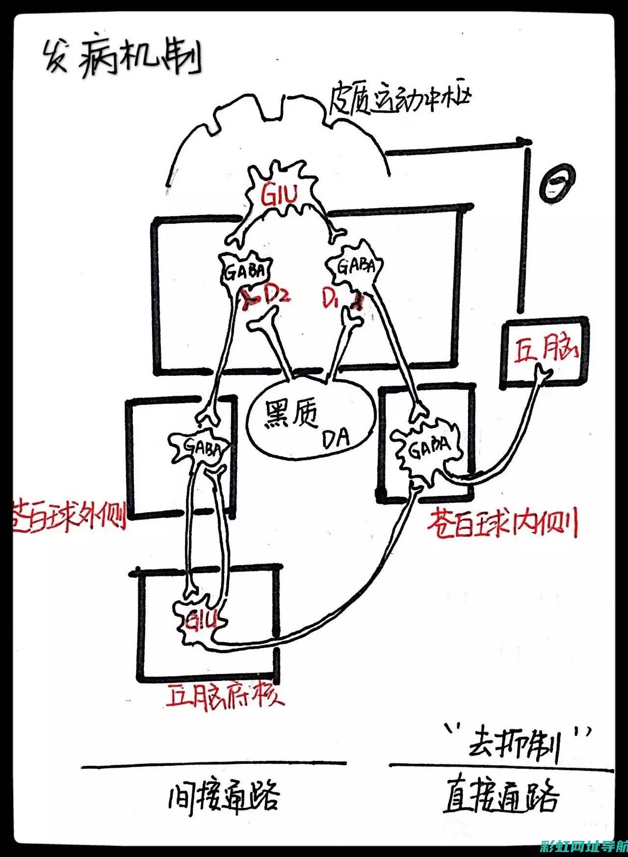 走进帕金斯发动机官网，领略领先科技，共创辉煌未来 (走进帕金斯发明了什么)