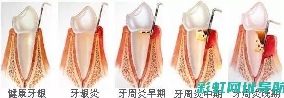 深度探究：V8发动机的升级与优化 (深度探究教学法)