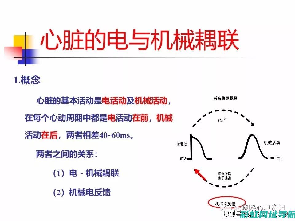 电能源的心脏：电能发动机的工作原理与技术创新 (电能源的重要性)