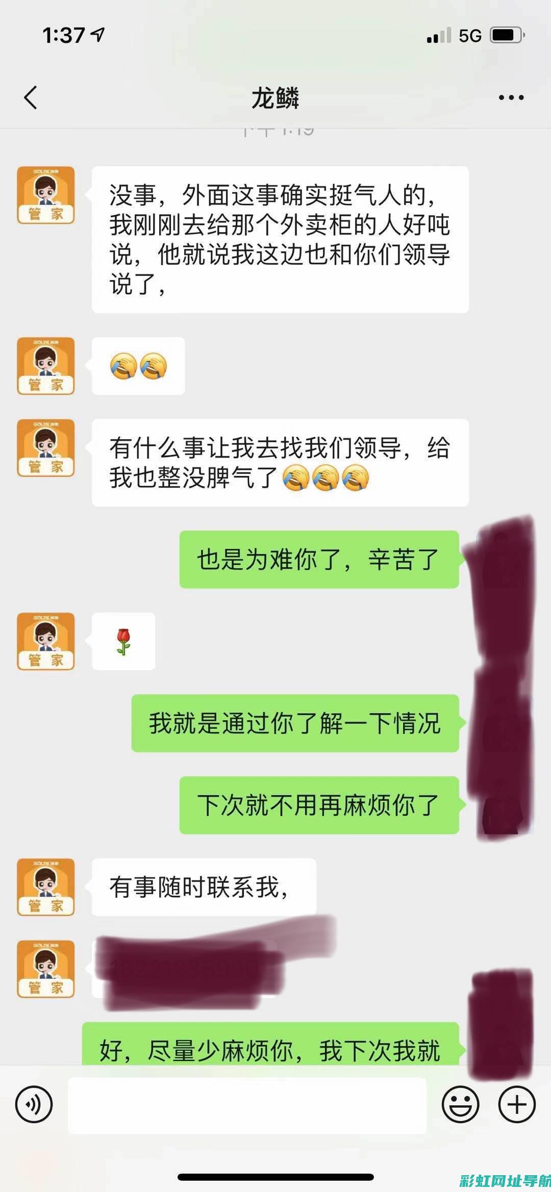 揭秘tdl发动机：技术细节与性能优势