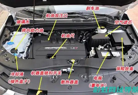 揭秘发动机舱温度：高温下的机器运转秘密 (揭秘发动机舱视频)