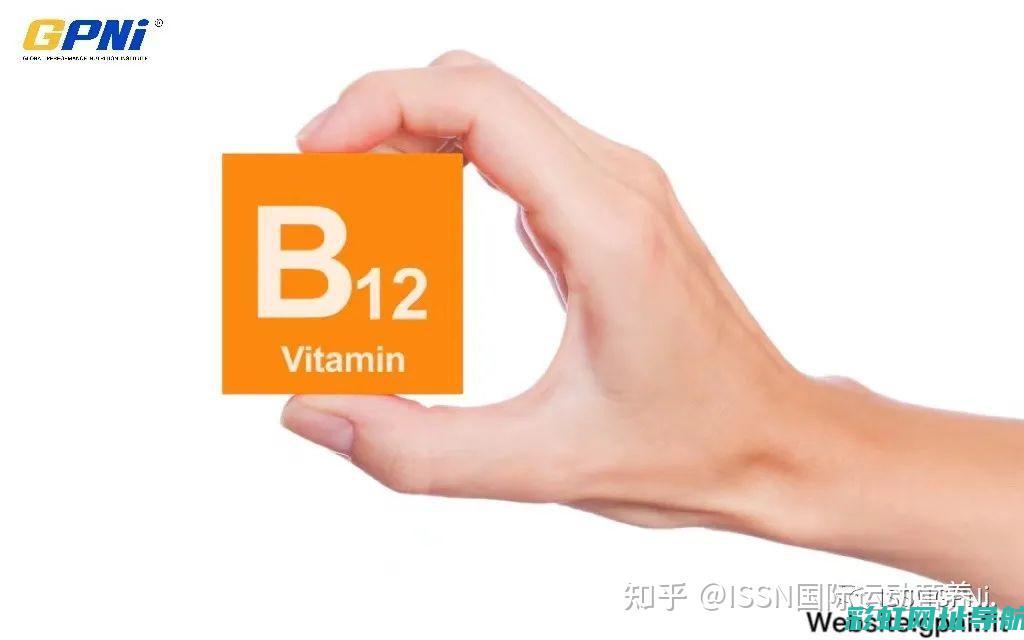 揭秘b12发动机性能表现，全方位解读其优缺点 (b12厂)