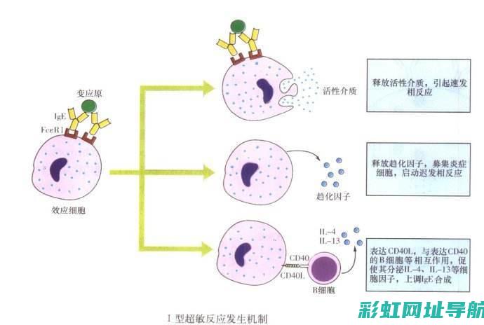 探索LGE发动机的技术创新与性能优势 (探索 发现)