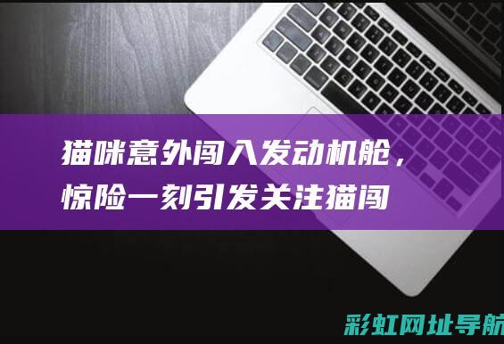 猫咪意外闯入发动机舱，惊险一刻引发关注 (猫闯进家)