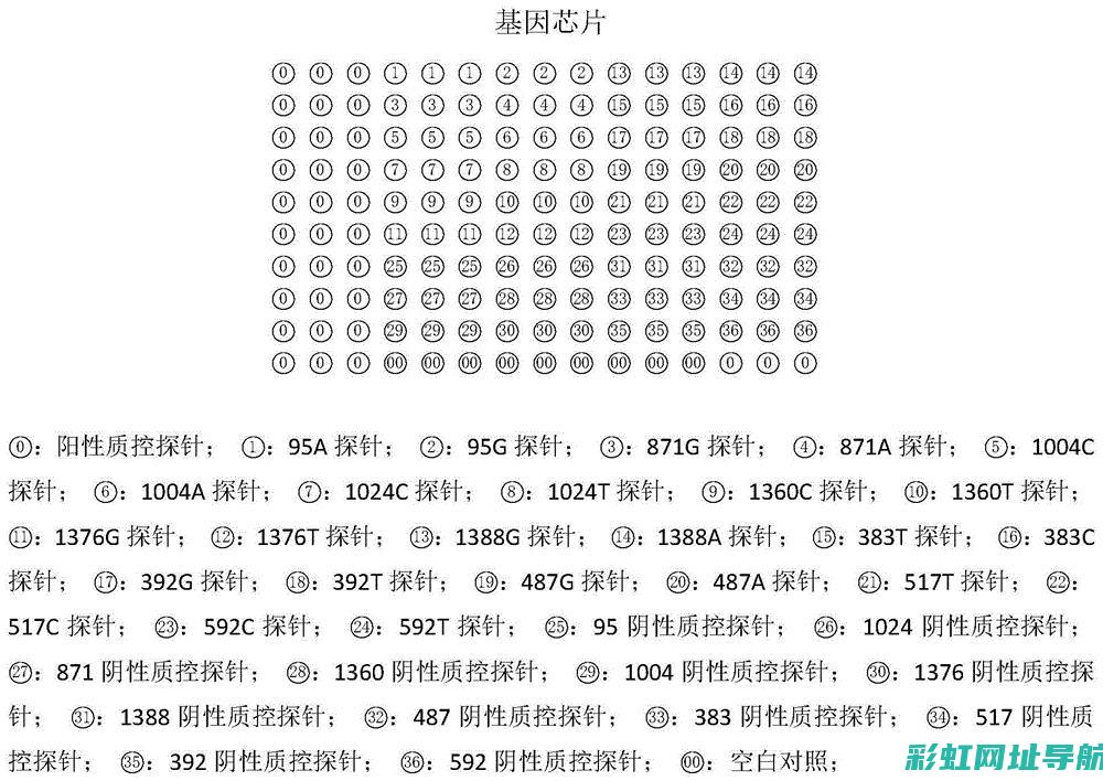 揭秘G6EA发动机：性能与技术的完美结合 (揭秘英国新首相:草根律师 爱踢球)