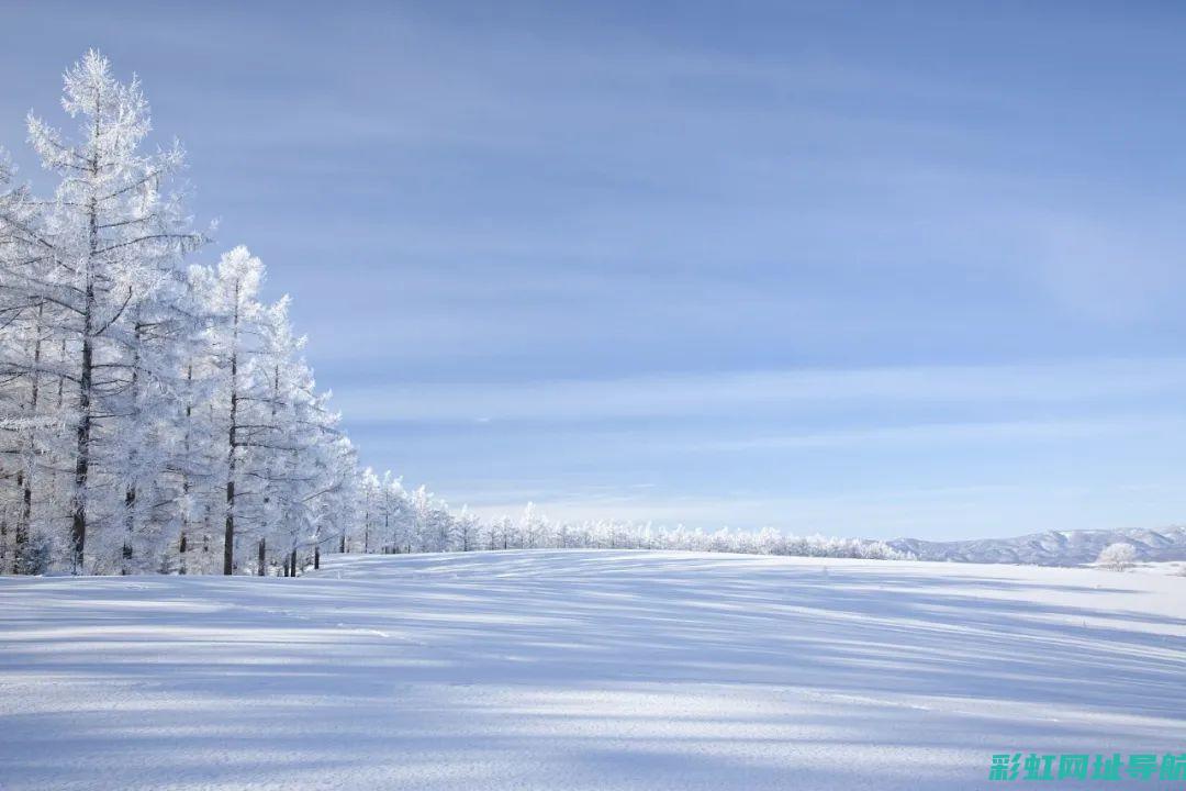 深度解析雪铁龙发动机的优缺点：性能、质量与可靠性探讨 (深度解析雪铁龙c5)