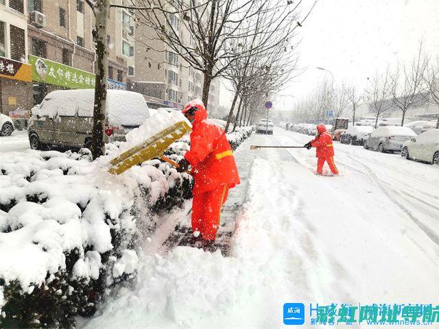 深入了解雪铁龙1.6L发动机：特点与优势探讨 (深入了解雪铁龙英文)