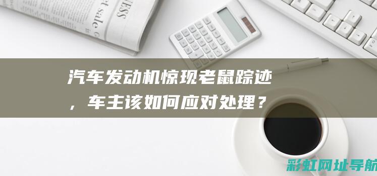 汽车发动机惊现老鼠踪迹，车主该如何应对处理？ (汽车发动机巨响)