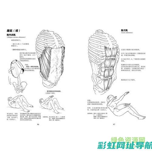 深入剖析：全新捷达发动机技术特点及性能表现 (全面剖析)