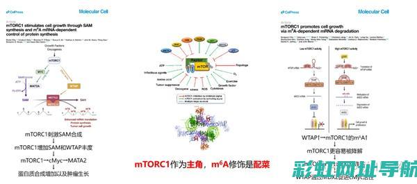 揭秘f6a发动机：性能特点与技术优势 (faf06)