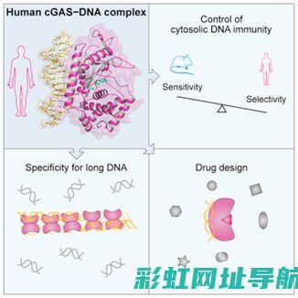 揭秘ca3ga2发动机正时：准确调整与性能优化 (揭秘蔡斌和王云蕗关系)