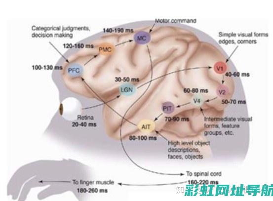 深度解析哈佛发动机诞生地及生产流程 (深度解析哈佛音乐)