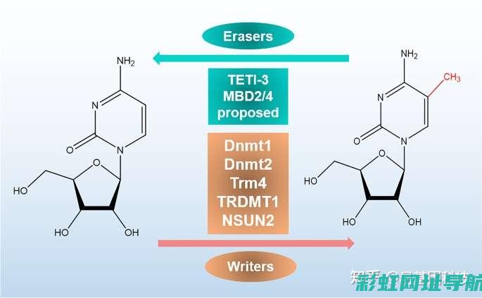 探讨M5R发动机：技术特点与是否落后的争议。 (m5r发动机优缺点)