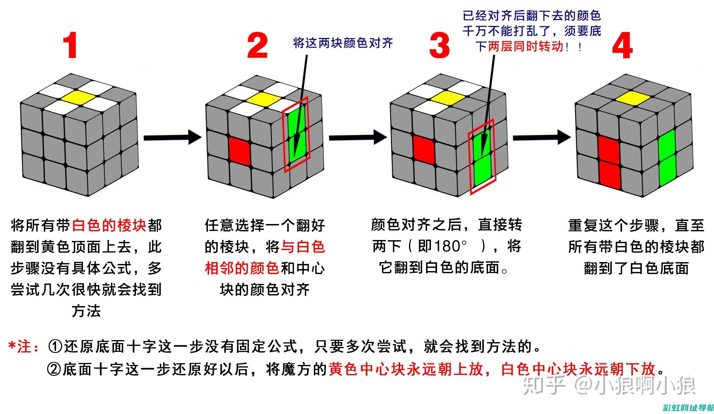 图解教程：发动机正时齿轮的工作原理解析与图片展示 (发的教程)