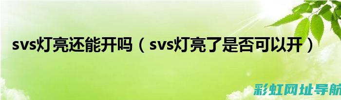 SVS灯在柴油发动机中的意义及故障排除指南 (svs灯亮了柴油)