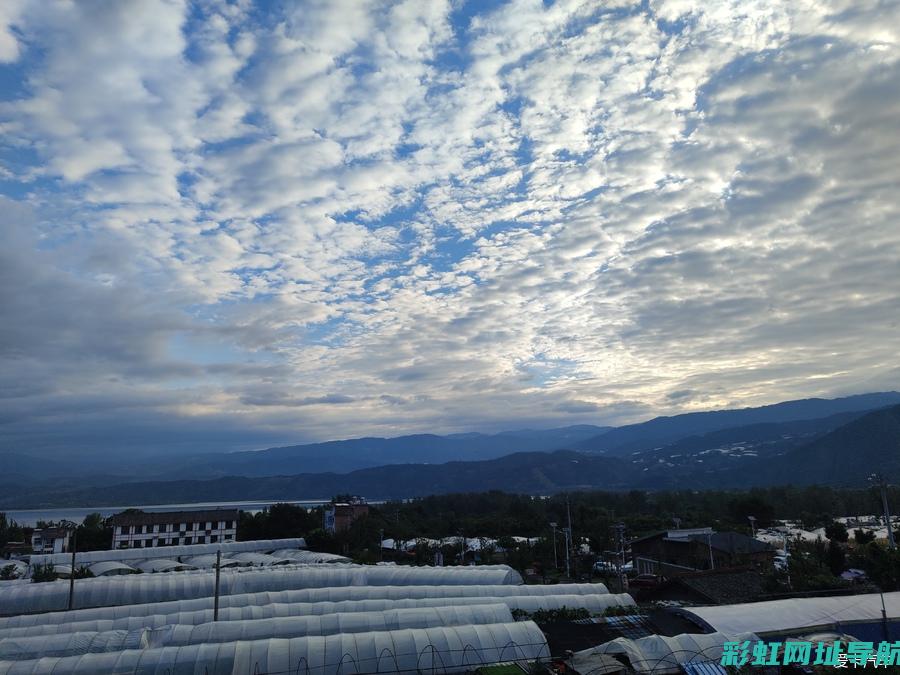 飞度地球梦发动机积碳问题解析与应对方法 (飞度地球梦发动机优点缺点)