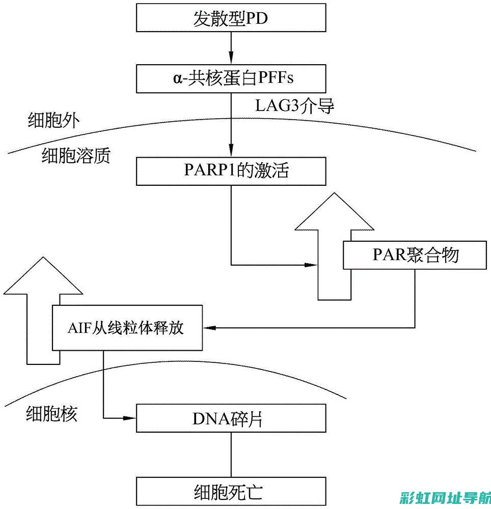 揭秘PSARFN10LH3X发动机所在地：技术特点与制造背景探讨 (揭秘PSP王牌机师p金手指的隐藏神秘技能?)