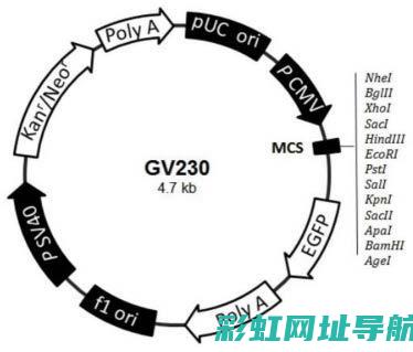 CAS16发动机究竟产自何方