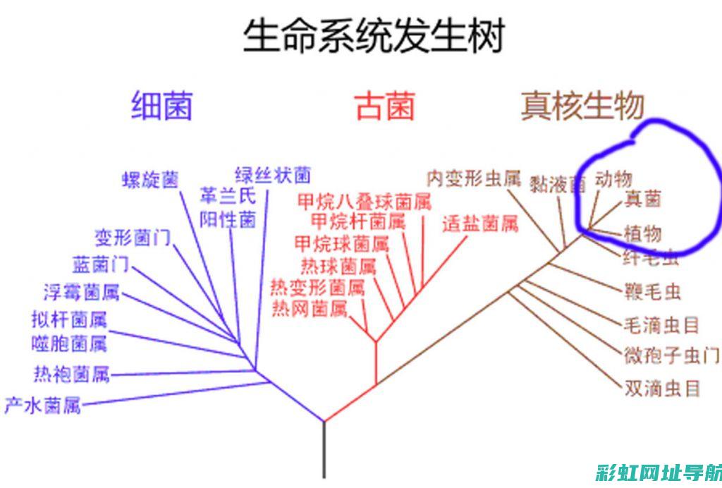 深入浅出三系发动机启停系统工作原理与应用分析 (深入浅出300)