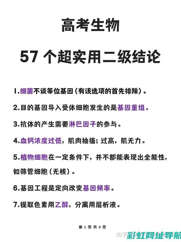 深入解析二级开发动机的技术原理与特点 (二级解析标识)