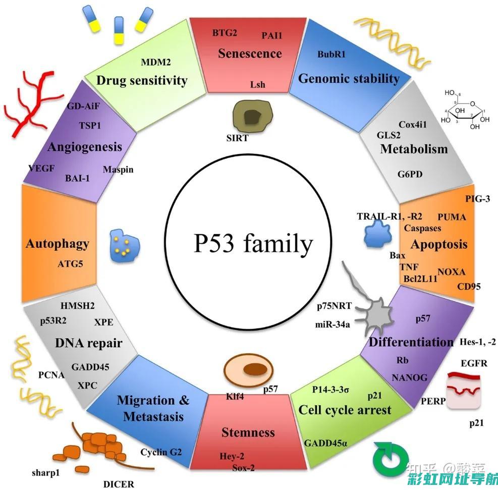 揭秘R53发动机：性能、特点与应用 (r533)