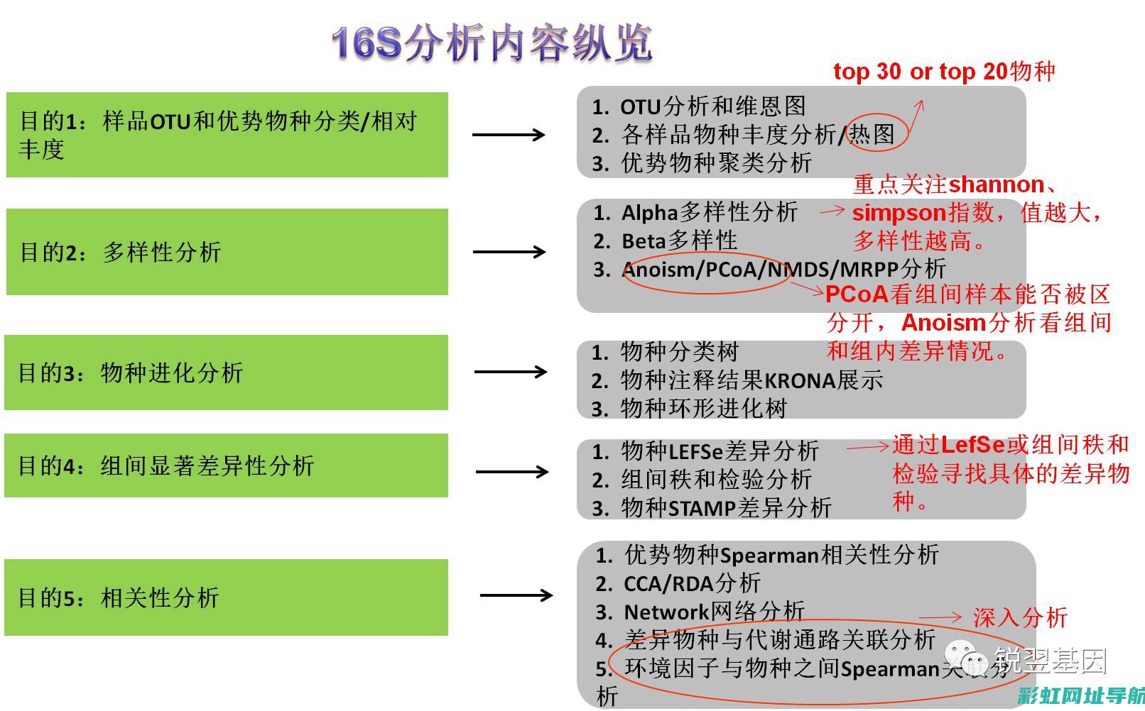 全面解析16发动机技术及应用 (1号手型全面解析1)