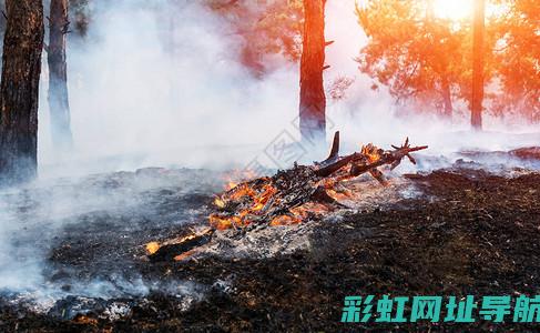 火烧后的发动机性能与安全性能探讨 (火烧后的发动机还能用吗)