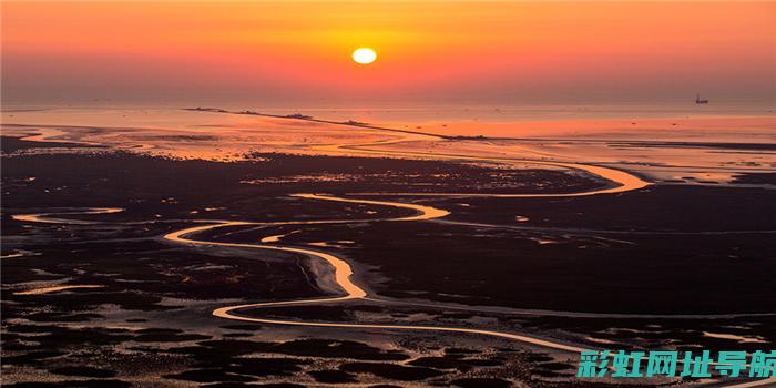 全面解析大地鹰王图