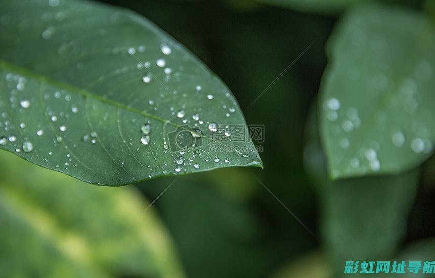 雨季来袭，发动机舱进水问题解析与应对措施 (雨季来临)