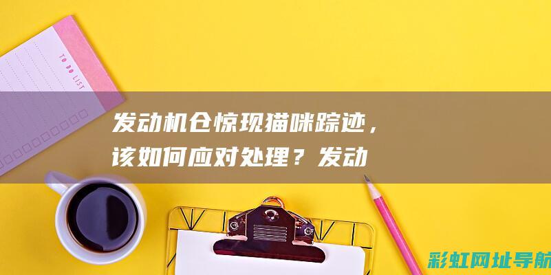 发动机仓惊现猫咪踪迹，该如何应对处理？ (发动机仓有异响是怎么回事)