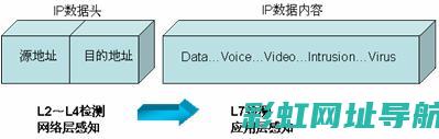 深度解析86丰田发动机：动力输出与耐久性的完美结合 (深度解析802人民币的特殊荧光版)