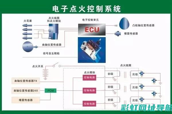 小瓦的角色与重要性