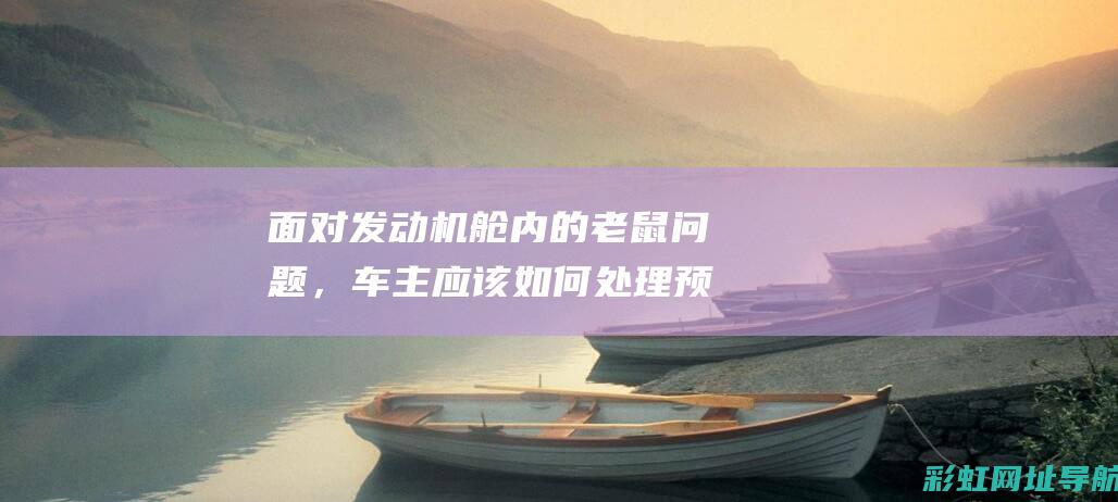 面对舱内的老鼠问题，车主应该如何处理预