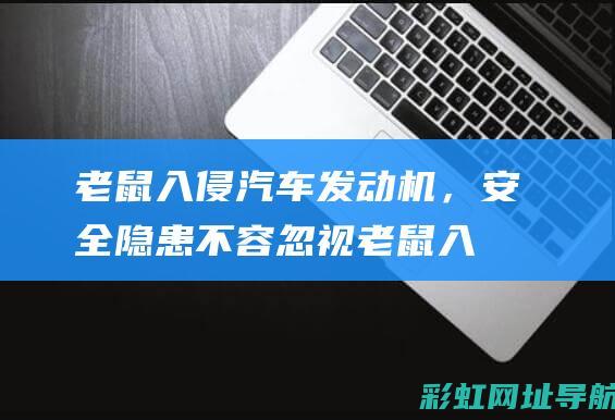 老鼠入侵汽车，安全隐患不容忽视老鼠入